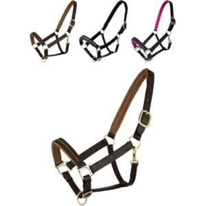 Edles Lederhalfter für Pferde, Halfter Diamond aus Leder, farbig unterlegter Nasenriemen & Genickstück, braunes Lederhalfter mit goldenem Schmuck