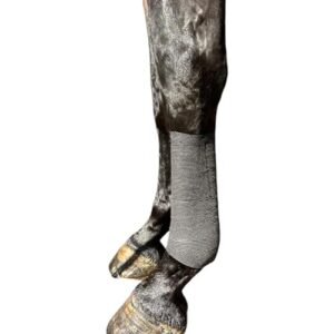 Selbstklebender Verband für Pferde - 12er Set, Selbsthaftende Bandagen, Extra Groß, Elastisch und Langlebig für Transport, Stall und Turnier