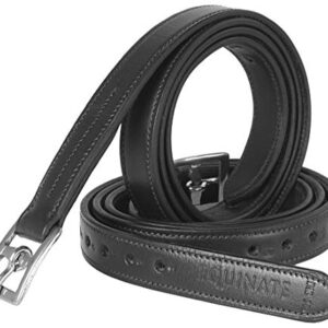 Hochwertiger Leder Steigbügelriemen mit Edelstahlschnallen in Schwarz für Pferde, langlebig und robust