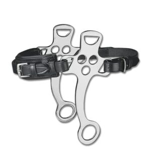 Waldhausen Hackamore mit kurzen Anzügen für Pferde, hochwertige Ausrüstung aus Edelstahl und weich gepolstem Leder