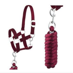 Robustes Halfter Führstrick Set mit silberfarbenen Beschlägen und strapazierfähigem Nylon in verschiedenen Farben. Verstelleigenschaft des Kopfstücks, weiches Führseil mit Karabinerhaken.