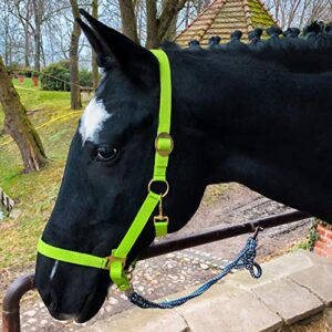 Halfter für Pferde, Halter für Warmblut, Vollblut und Kaltblut - Stall- und Weidehalter mit 2 Fächern, verstellbar an Kinnriemen und Genickstück, sicher und reißfest, hellgrün