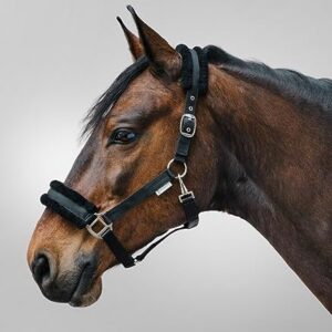 Ein hochwertiges Halfter für Pferde, das aus synthetischem Fell hergestellt wurde und am Genickstück verstellbar ist. Es ist in der Größe WB erhältlich und kommt in einer schwarzen Farbe.