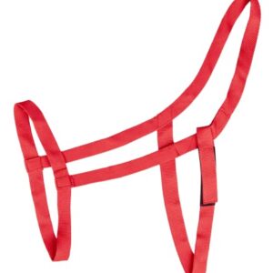 WALDHAUSEN Weidehalfter, VB, rot - hochwertiges Pferdentalter für sicheren und bequemen Einsatz auf der Weide