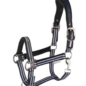 Das Waldhausen Halfter Athletic ist ein exzellentes Produkt für Pferde, mit anatomischer Genickstütze und weichen Polsterungen im Nacken- und Nasenbereich.