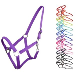 Netzhalter für Hunde in Lila - perfekt geeignet für Mini-Shetty bis XL Full - verstellbare Schnalle am Genick