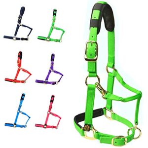 T TEKE verstellbares Pferdehalfter aus strapazierfähigem Nylon mit gepolsterten Scheiden und Waffel-Neopren-Pad an Krone und Nase