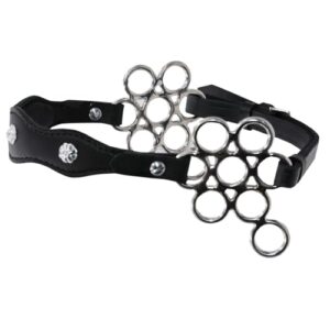 Hochwertiger, gepolsterter Nasenriemen mit Barock-Design und silberfarbenen Conchos für Pferde, individuell anpassbar