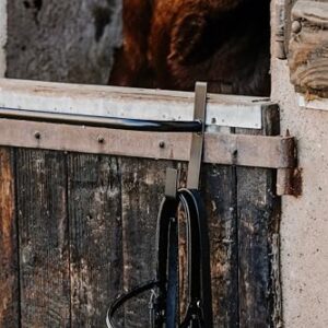 Verstelbare Pferdebedeckenhalterung aus robustem Metall, ideal für Abschwitz-, Stall- oder Outdoordecken. Kein Bohren nötig, inklusive 2 Haken.