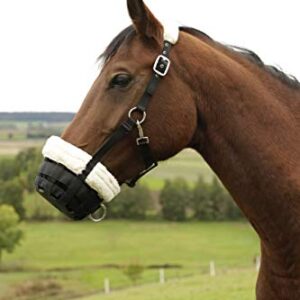 Pferd mit schwarzem Maulkorb auf grünem Rasen, mit der Beschreibung Covalliero Maulkorb Teddyfleece, Fressbremse, Webpelz, schwarz, Pferd, mehrfach verstellbar, sichere Passform