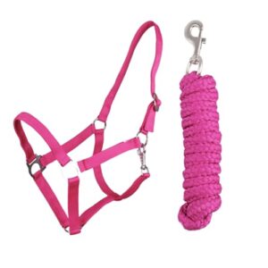 Halfter Führstrick Set mit Karabinerhaken verstellbar, Pferdehalfter für Pferde und Holzpferde, Anbindestrick in Fuchsia und Shetty Farbe