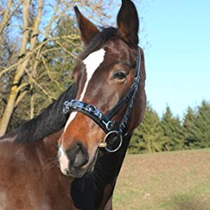 Kerbl Leder, Exklusiv VB, Kappzaum, inkl. Gebissriemen, Schwarz, für Vollblutpferde