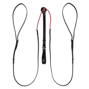 Waldhausen W-TRAINREIN Leder-Dreieckszügel für Pferde, Reitzubehör und Longierzubehör, flexible Ausbinder für effektive Biegung und Gymnastizierung