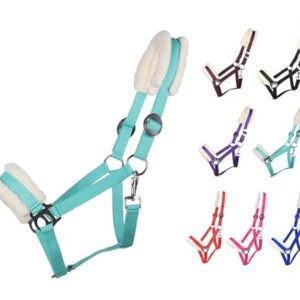 Pferdehalfter mit polsterter und verstellbarer Koppel, geeignet für Mini Shetty bis Full und Kaltblutpferde, Tuerkis Farbe