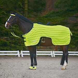 Eine leichte und wasserdichte Ausreitdecke aus stark reflektierendem Netzgewebe mit Silber-Leuchtstreifen, ideal für Reiter in verschiedenen Wetterbedingungen.