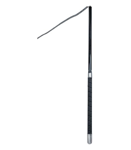 Waldhausen Longierpeitsche - Superleicht, 4-teilig, 200 cm für Pferdebesitzer zur optimalen Lern- und Trainingseinheit