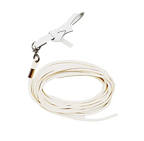 Peitschen-Schlag mit Edelstahl-Wirbel, Leder Longierriemen und Silikon Kontaktstock, Made in Germany, ideal für Voltigier- und Longier-Anfänger geeignet