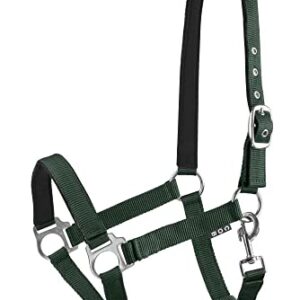 Halfter für Pferd mit Polsterung, verstellbar, Nylon, Dunkelgrün