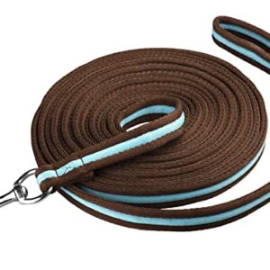 Start Longierleine für Reitsport - Pferdelonge 8 m aus Nylon - Softlonge mit Handschlaufe & Karabiner - rutschfeste Longe für Pferd - Robuste Longierleine für Training (Braun/Türkis)