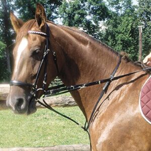 Thiedemann-Hilfszügel, schwarz, für Warmblut-Pferde, verstellbarer Hilfszügel zum Training und zur Sicherheit von Pferden