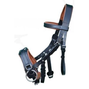 Ein hochwertiger Lederkappzaum von Brama West für Pferde, schwarze-braune Farbe und großer Größe Cob, geeignet für Training und Arbeit mit dem Pferd.