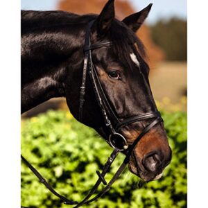 Covalliero Trensenzaum Standard, hochwertiges Zaumzeug für Pferde aus Leder und Metall mit sicheren und bequemen Passform und verstellbarem Gurtzügel.