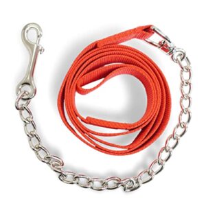 Sichere Führkette für Pferde mit Nylon Handgriff und Eisenkettenleine, geeignet für Hengste, Hunde, Pony und Esel, Länge 2,10 m