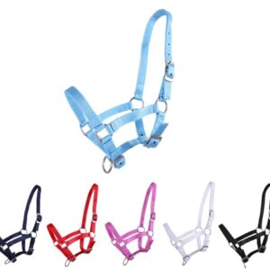 Netzhalter für Fohlen mit 3-Fach Verstellung, Falabella Größe, Himmelblau Farbe