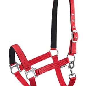 Halter für Pferd, Nylon Halfter mit Polsterung, verstellbarer Halschutz und Kinnriemen, passend für Pony, Cob und Warmblut, robust und wetterbeständig.
