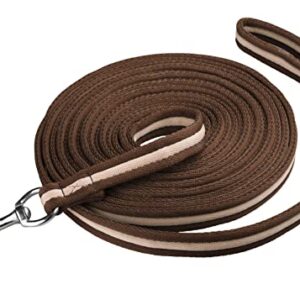 Hochwertige Longierleine aus Nylon für Pferdetraining - Softlonge mit Handschlaufe und Karabiner - rutschfeste Longie für maximale Bewegungsfreiheit