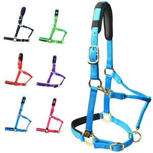 Hochwertiges, verstellbares Pferdehalfter aus strapazierfähigem Nylon mit gepolsterten Scheuerfesten Waffel-Neopren an Krone und Nase