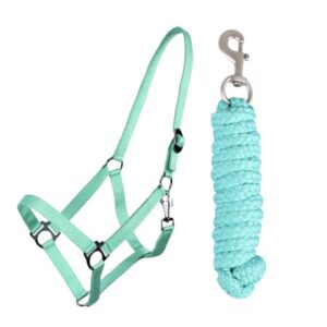 Halfter Führstrick Set mit Karabinerhaken verstellbar, Pferdehalfter für Pferd, Halter für Hengst oder Stute, Robuster Nylon-Stoff und silberfarbene Beschläge, ideal für Anfänger und Fortgeschrittene