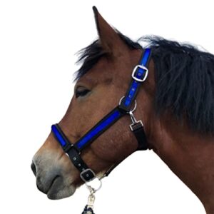 Halfter für Pferde Kaltblut, Halter für Pferde mit zwei Fächern an Kinnriemen und Genickstück, verstellbares Halfter für größere Pferdearten wie Kaltblüter