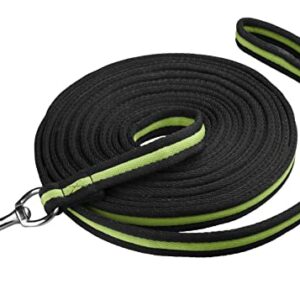 Start Longierleine für Reitsport - 8 m lange Pferdelonge aus Nylon mit Handschlaufe und Karabiner für Bodenarbeit, Longieren und Training - rutschfeste Longe für Pferde - Robuste Longierleine für maximale Bewegungsfreiheit