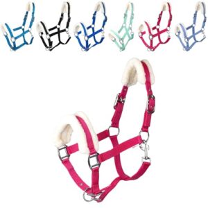 Robustes und bequemes Halfter für Pferde und Ponys mit Plüschpolsterung, nietenverstärkte Verschlüsse und Karabinerhaken zum Öffnen, Pferde Zubehör in Magenta