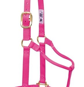 Weaver Leather Original Pferdehalfter aus Nylon, nicht verstellbar, mittelgroß, pink (Diva Pink)