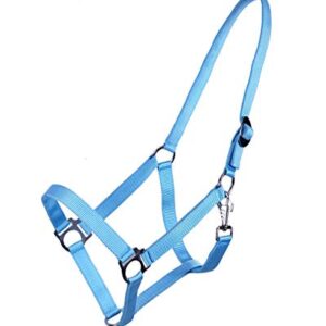 Halfter mit Schiebeschnalle für Pferde, Stallhalfter Basic von ARBO-INOX in hellblau