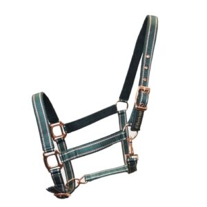 Halfter für Pferde mit Glitzer in Rosegold, Halfter Pferd in schwarz und pink, 2-Fach verstellbar (Grün Rosegold, Pony)