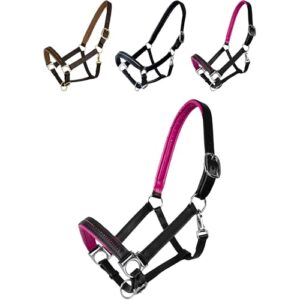 Halfter Diamond aus Leder für Pferde mit farbig unterlegtem Nasenriemen und Genickstück, edles Lederhalfter in Schwarz/Pink, Vollblut