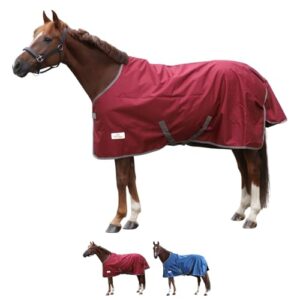 Pferde in verschiedenen Farben mit atmungsaktiven und wasserdichten Winterdecken von Marengos by Bucas, darunter die Weinrote und Dunkelblaue Decke.