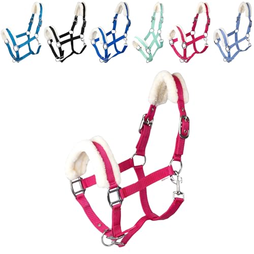 Halter für Pferde und Ponys mit Plüschpolsterung, Basicline-Qualität, nichtenverstärkte Verschlüsse und Karabinerhaken zum Öffnen, warmblutfarben, Magenta