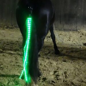 Pferdetraining-Reit-Harnass mit LED-Lichtanlage, grüne Lichter, USB-ladbar, ideal für Outdoor-Aktivitäten
