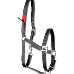 Ein hochwertiges Pferdhalter mit integriertem Sicherheits-Klettverschluss am Genickstück, um ein gefährliches Festhalten des Pferdes zu verhindern.