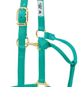 Weaver Leather Original verstellbares Nylon-Pferdehalfter für durchschnittliche Pferde, smaragdgrün