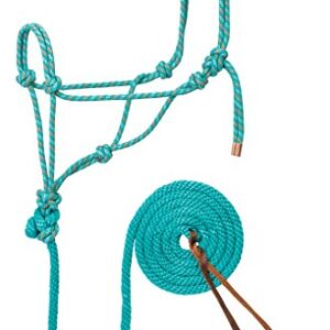 Seilhalfter und Leine aus hochwertigem Leder und robustem Polyseil für eine sichere und bequeme Halterung des Pferdes, Blaugrün/Grau/Orange