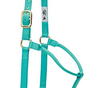 Weaver Leder Original Festeingesteller Halfter für weanling/Pony, hochwertig, robust, sicher und komfortabel für Pferde in dieser Größe.