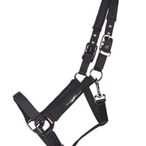 ARBO-INOX Halfter mit schwarzen Beschlägen, 3-Fach verstellbar für Pferde