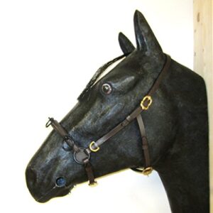 Französischer Kappzaum Cavecon/Cavesson von PS Pferdeartikel, Soft-Ausführung mit D-Ringen und goldenen Beschlägen, Größe: Full Farbe Braun