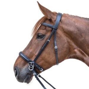 Pferd mit WALDHAUSEN Star Zaum Gebisslos, gebissloser Zaum für Pferde, effektive und sanfte Art die Kinnlade zu gewöhnen