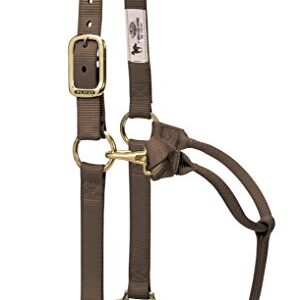 Weaver Leather Original Verstellbares Pferdehalfter aus Nylon für Durchschnittspferde, braune Farbe